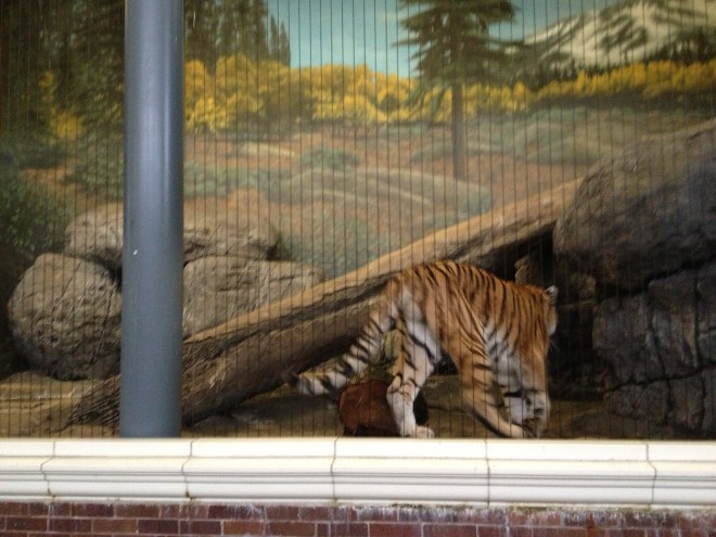 The person on the other side of this wall has a reason to run.